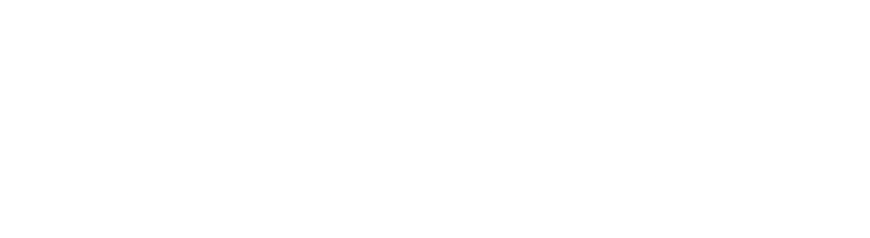 UNC Chapel Hill Logo White